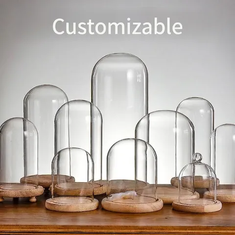 Clear Borosilicate Glass Cloche Dome with Wood Base DIY Eternal Flower Landscape Display Case Dustproof Glass Cover Home Decor