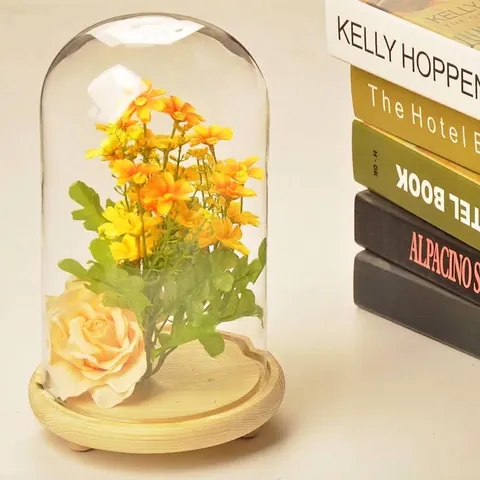 Transparent Glass Display Dome With Wood Base Decorative Landscape Cloche Jar For DIY Flowers Plants Home Decor Ornaments