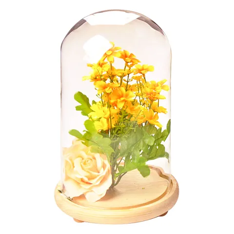 Transparent Glass Display Dome With Wood Base Decorative Landscape Cloche Jar For DIY Flowers Plants Home Decor Ornaments