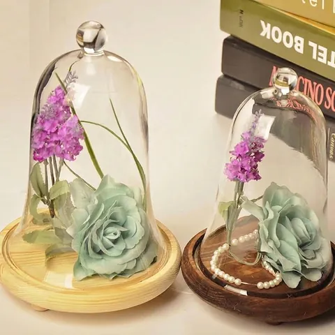 Hand Blown High Borosilicate Glass Cloche Bell Jar With Wood Base For DIY Micro Landscape Preservation Flower Home Decoration