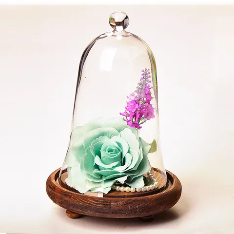 Hand Blown High Borosilicate Glass Cloche Bell Jar With Wood Base For DIY Micro Landscape Preservation Flower Home Decoration