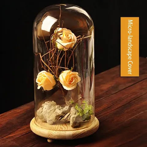 High Borosilicate Glass Landscape Cover DIY Micro Landscape Cloche With Wooden Base Clear Display Dome Creative Birthday Gift Home Decor