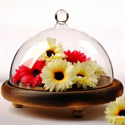 Vintage Hand Blown Borosilicate Glass Cloche Dome With Three Legged Wooden Base For Home Decor Tabletop Landscape Gift
