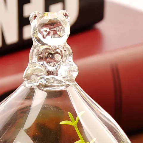 Cute Bear Handle Transparent Borosilicate Glass Display Dome Cloche With Glass Base For Eternal Flowers Micro Landscape