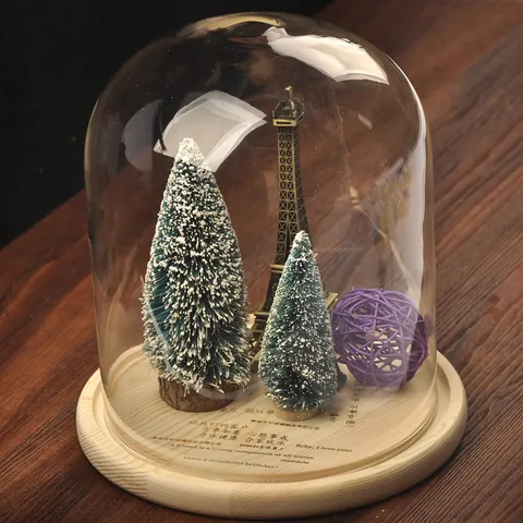 Creative Clear Borosilicate Glass Display Dome Cloche With Natural Wood Base For DIY Micro Landscape Home Decor Ornament