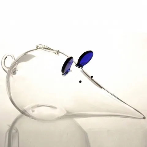 Simpatico Salvadanaio in Vetro Borosilicato a Forma di Animale Frutta Trasparente Scatola Risparmio Topo Maiale Mela Ornamento per Bambini
