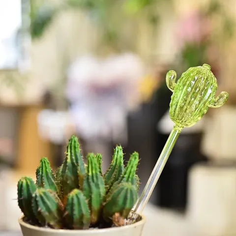 Creatieve Cactus Vorm Gradiënt Groen Zelfbewaterende Bollen Automatisch Glasvezel Bewateringsapparaat Voor Kamerplanten Buiten