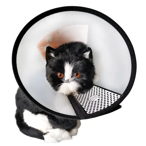 Transparent Pet Recovery Collar Adjustable Elizabethan Cone Anti-Lick Scratch Wound Healing Shield For Cats Dogs