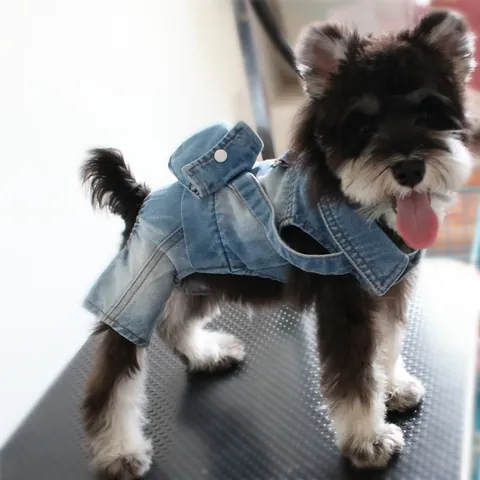 Small Dog Denim Jumpsuit Four-Legged Pet Clothes With Backpack Decoration Teddy Bichon Autumn Winter Warm Outfit