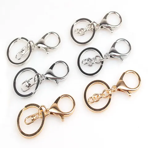 Zinklegierung Minimalistisch Karabiner Auto Schlüsselanhänger Für Herren Schlüsselring Mit D-Ring Kette Gold Silber Bronze Metall