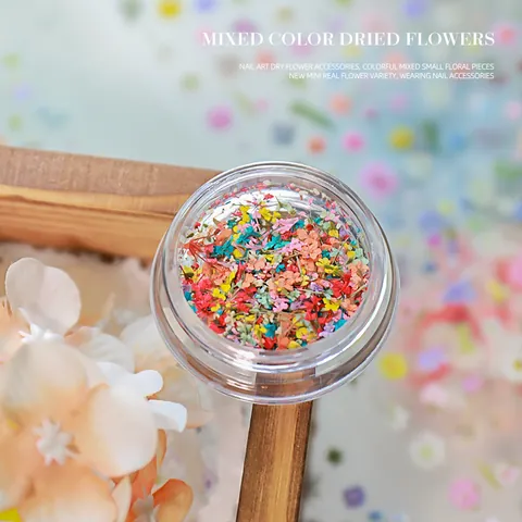 Flores Secas Naturales de Colores Mezclados Decoración de Uñas Estilo Japonés Accesorios de Uñas de Primavera para Manicura DIY