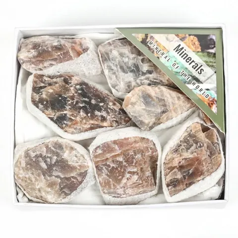 Set di Minerali Grezzi di Pietra di Luna Grigia Naturale in Scatola Regalo per Decorazione Casa Ufficio Pietra Fai da Te