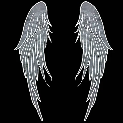 Angel Wing Shape Embroidery Lace Patch Milk Silk Organza DIY Costume Applique Wedding Dress Decoration Elegant Feather Pattern