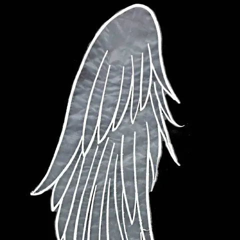 Angel Wing Shape Embroidery Lace Patch Milk Silk Organza DIY Costume Applique Wedding Dress Decoration Elegant Feather Pattern