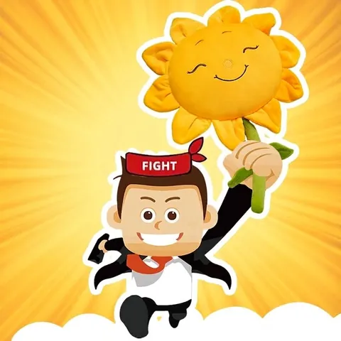 Kreative Sonnenblume Plüschtier Kissen Mit Lächeln Gesicht Erfolg Abschluss Geschenk Für Studenten Weicher Kurzplüsch Deko Kissen Für Zuhause Büro