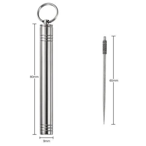 Outdoor EDC Waterproof Sealed Capsule Stainless Steel Toothpick Holder Portable Mini Fruit Pick Storage Container Keychain Pendant