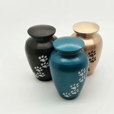Mini Alloy Cremation Urn For Ashes Memorial Keepsake Jar With Paw Print Pattern Small Human Pet Funeral Remembrance Urn