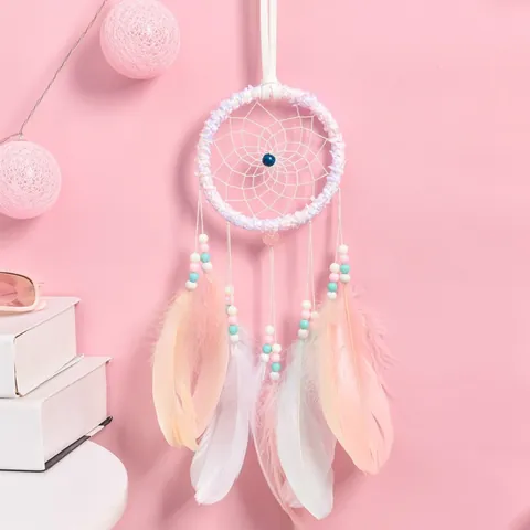 Attrape-Rêve Style Ins Plumes Roses et Blanches Décoration Murale Guirlande Lumineuse LED Chaude Cœur de Fille Décoration de Chambre Cadeau
