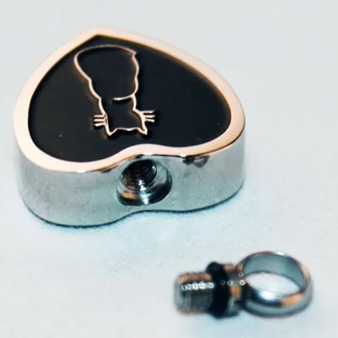 Collier d'Urne de Crémation en Acier Inoxydable en Forme de Cœur pour Cendres d'Animaux Pendentif Commémoratif Chat Avec Kit de Remplissage