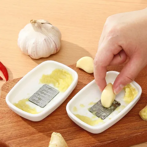 Râpe Manuelle à Ail et Gingembre en ABS et Acier Inoxydable Outil de Cuisine Multifonctionnel pour la Préparation