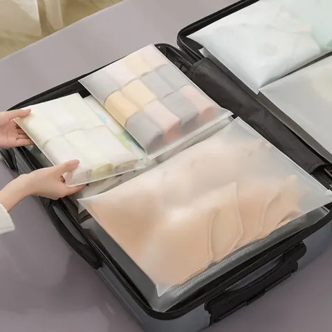 Sac de Rangement de Voyage Givré Semi Transparent Imperméable PP Pochette d'Organisation Avec Fermeture à Glissière Pour Vêtements Sous-vêtements Bagages Organisation Sac de Tri de Voyage Portable