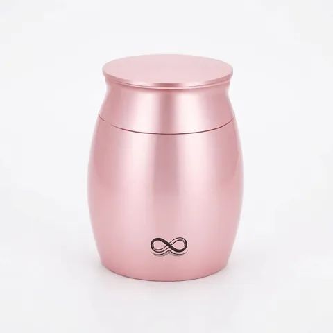 Stainless Steel Memorial Urn For Pet Human Ashes Small Keepsake Canister With Hummingbird Pattern God Has You In His Arms Message