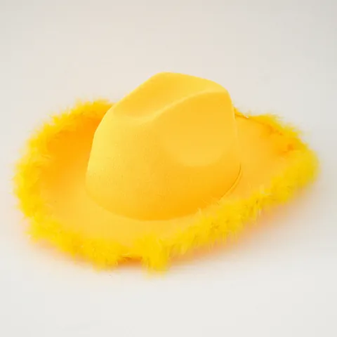 Western Cowboy Hoed Met Kunstveer Afwerking Mode Feest Fedora Voor Dames Heren Kampvuur Feest Kostuum Accessoires