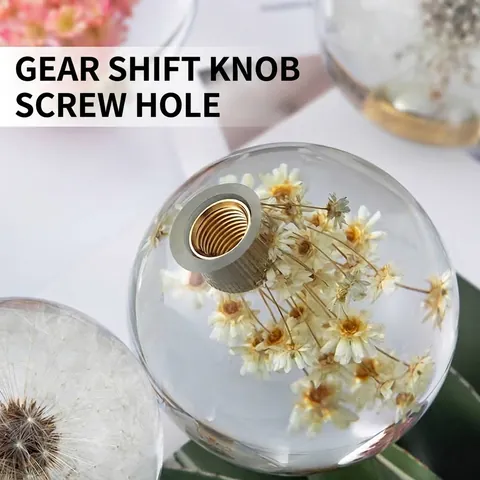 Real Dried Dandelion Daisy Flower Clear Crystal Ball Car Gear Shift Knob Decorative Ornament Music Box Birthday Gift