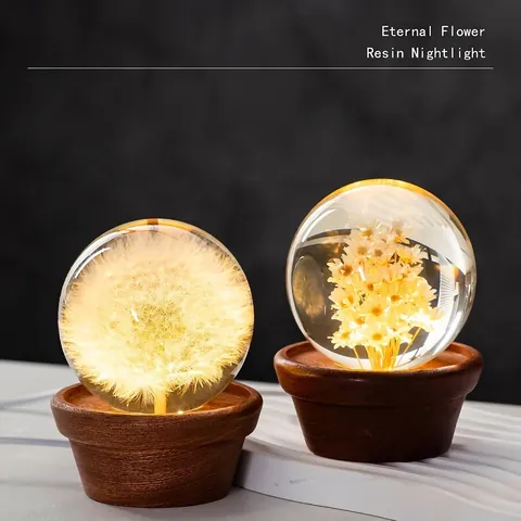 Dandelion Resin Crystal Ball Night Light Real Dried Flower Eternal Bloom Table Lamp With USB Solid Wood Base Desk Decor Gift
