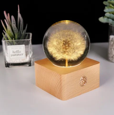 Dandelion Specimen Harz Kristallkugel Nachtlicht Mit Massivholzsockel Wiederaufladbarer LED Tischschmuck Romantisches Geschenk Für Damen