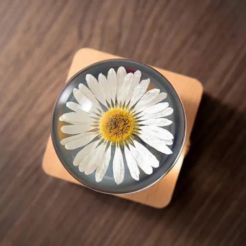Crystal Ball Preserved Daisy Night Light Wood Base Dimmable Bluetooth Speaker Desk Lamp Creative Gift For Women Men Home Decor