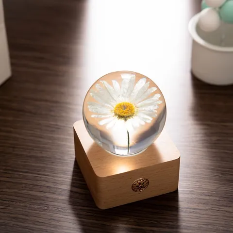 Crystal Ball Preserved Daisy Night Light Wood Base Dimmable Bluetooth Speaker Desk Lamp Creative Gift For Women Men Home Decor
