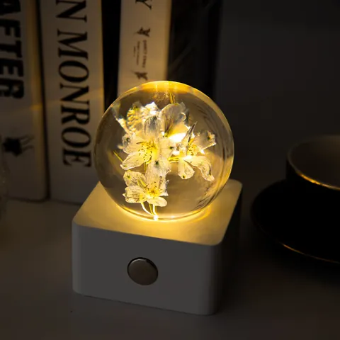 Getrocknete Delphinium Blume Exemplar Kristallkugel Nachtlicht Touch Dimmen Wiederaufladbare Holzbasis Schreibtisch Ornament Geburtstag Weihnachten Geschenk