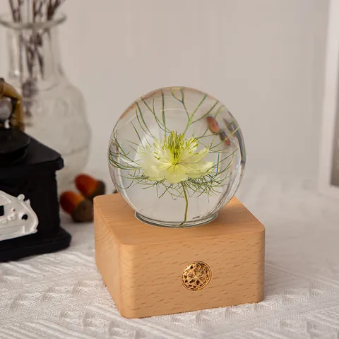 Nigella Blumenexemplar Glas Kristallkugel Nachtlicht USB Aufladbar Touch Dimmbar Holzsockel Dekorativer Globus Geschenk Für Damen Mädchen
