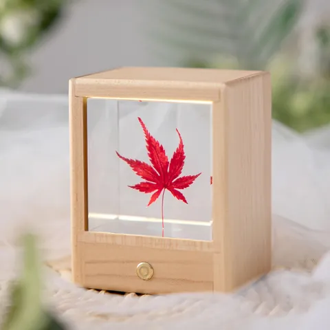 Creative Luminous Resin Eternal Flower Night Light Wooden Dandelion Desk Ornament Birthday Gift For Friends Home Decor Lamp