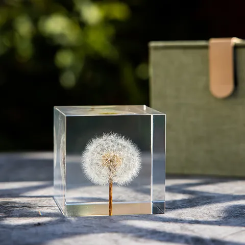 Cube en Résine Transparente Fleur Éternelle Pissenlit Rose Spécimen Ornement de Bureau Presse-papier en Cristal Créatif Cadeau d'Anniversaire Saint-Valentin