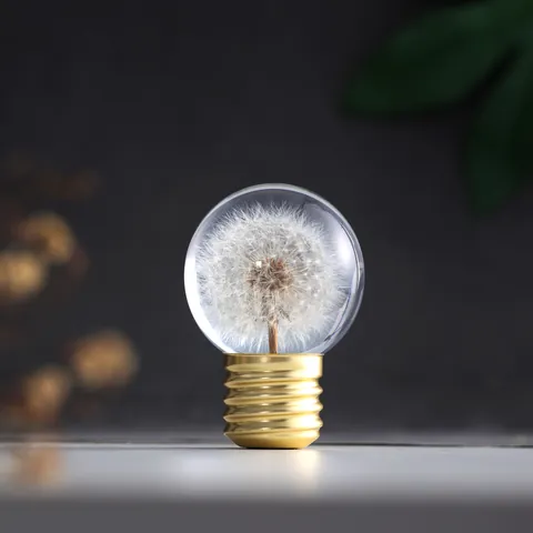 Creative Bulb Shape Resin Crystal Ball Night Light With Real Dried Flowers Dandelion USB Rechargeable Desktop Ornament Gift