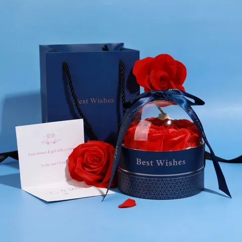 Romantische Rose Schmuckschatulle Mit Transparenter Kuppel Geschenktüte Und Grußkarte Für Valentinstag Halskette Ring Ohrring Verpackung
