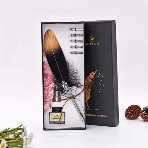 Set Penna Piuma Vintage Caligrafia Penna a Immersione Con Pennini e Inchiostro Classica Scatola Regalo Antica per Ufficio