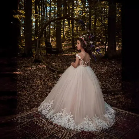 Elegant Girls Sleeveless Lace Princess Dress Pearl Waist Embroidered Mesh Skirt Flower Girl Wedding Performance Gown
