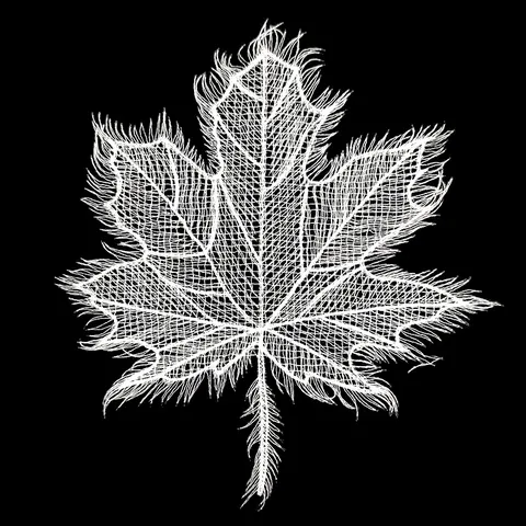 Hollow Out Rose Maple Leaf Embroidery Lace Patches White Black Polyester Fishline Embroidered Appliques For Clothing DIY