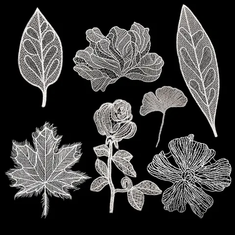Hollow Out Rose Maple Leaf Embroidery Lace Patches White Black Polyester Fishline Embroidered Appliques For Clothing DIY
