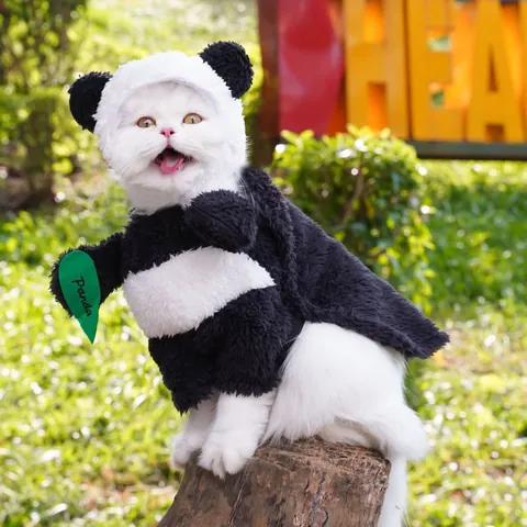 Funny Panda Pet Costume Clothes For Dogs And Cats Cute Standing Transformation Outfit Soft Plush Apparel Pet Supplies