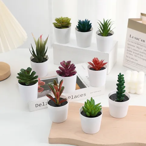 Plantes Suculentes Artificielles en Pot Fausses Suculentes Petites Plantes en Plastique Avec Pots Blancs Pour Décoration de Table Bureau Maison