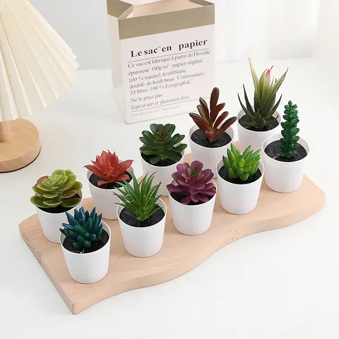 Plantes Suculentes Artificielles en Pot Fausses Suculentes Petites Plantes en Plastique Avec Pots Blancs Pour Décoration de Table Bureau Maison