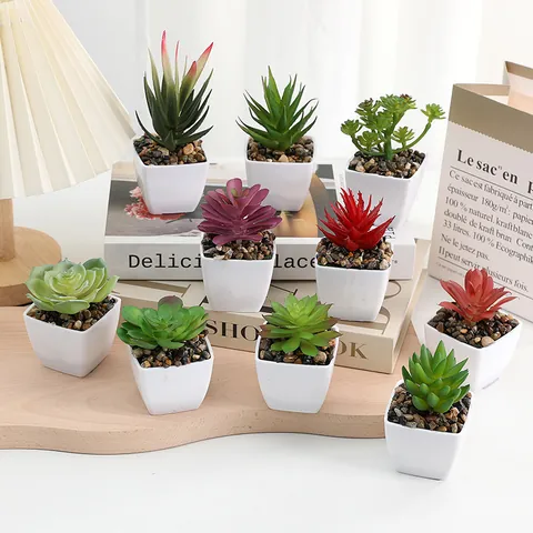 Plantes Succulentes Artificielles en Pot Faux Verdure en Plastique Mini Décor de Bureau Maison Bureau Ornement de Table Cadeau