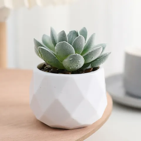 Simulated Flocked Diamond Succulent Plant Potted Home Living Room Desktop Green Plant Decorative Small Ornament