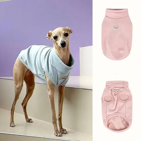 CheePet Dralon Pet Dog High Neck Sweater Soft Warm Winter Clothing For Whippet Italian Greyhound Pullover Apparel