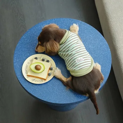 Gestreifte Haustier Hundekleidung Mit Hochkragen Für Windhunde Warm Elastisch Gestrickter Hundepullover Zweibeinige Weste Welpenhemd Herbst Winter