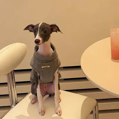 CheePet Dralon Pet Dog High Neck Sweater Soft Warm Winter Clothing For Whippet Italian Greyhound Pullover Apparel